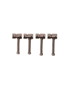 Bridge Saddles - StingRay Classic & Sterling Classic w/Intonation Screws & Springs - Hollow Saddles