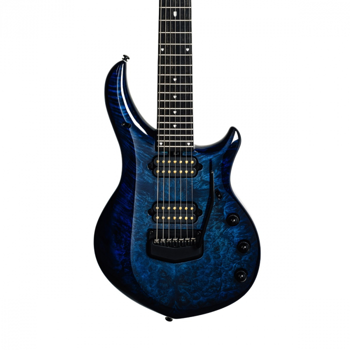 Ernie ball music top