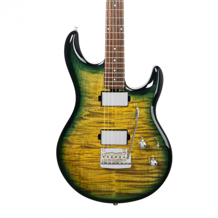 Gator guitar online