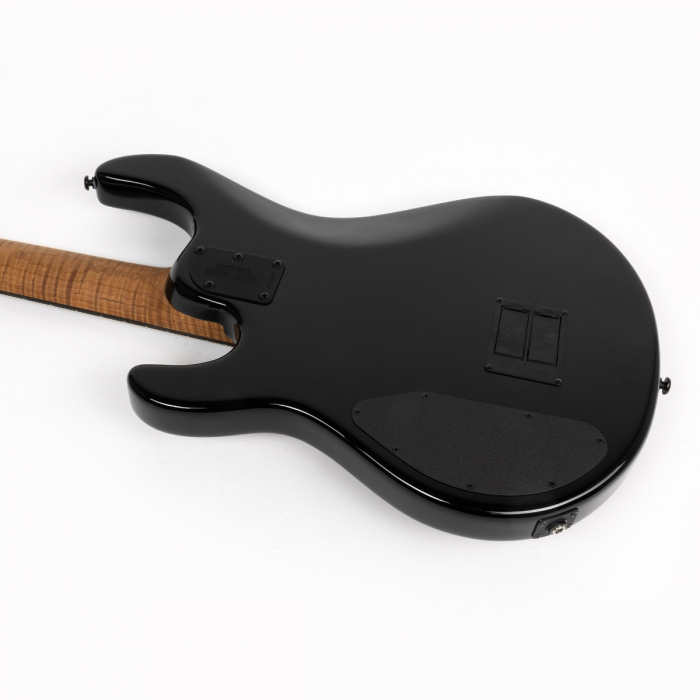 Shop Ernie Ball Music Man - Ernie Ball Music Man StingRay 5 Maple