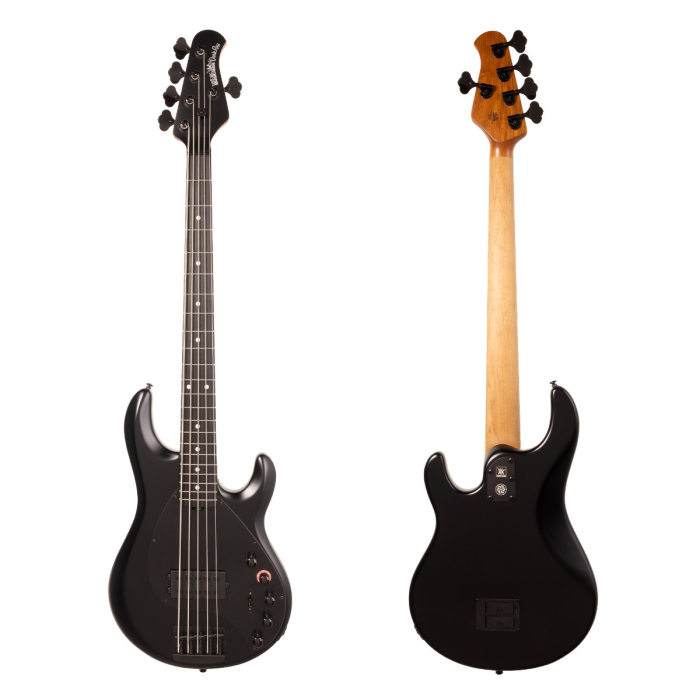 Shop Ernie Ball Music Man - Ernie Ball Music Man DarkRay 5