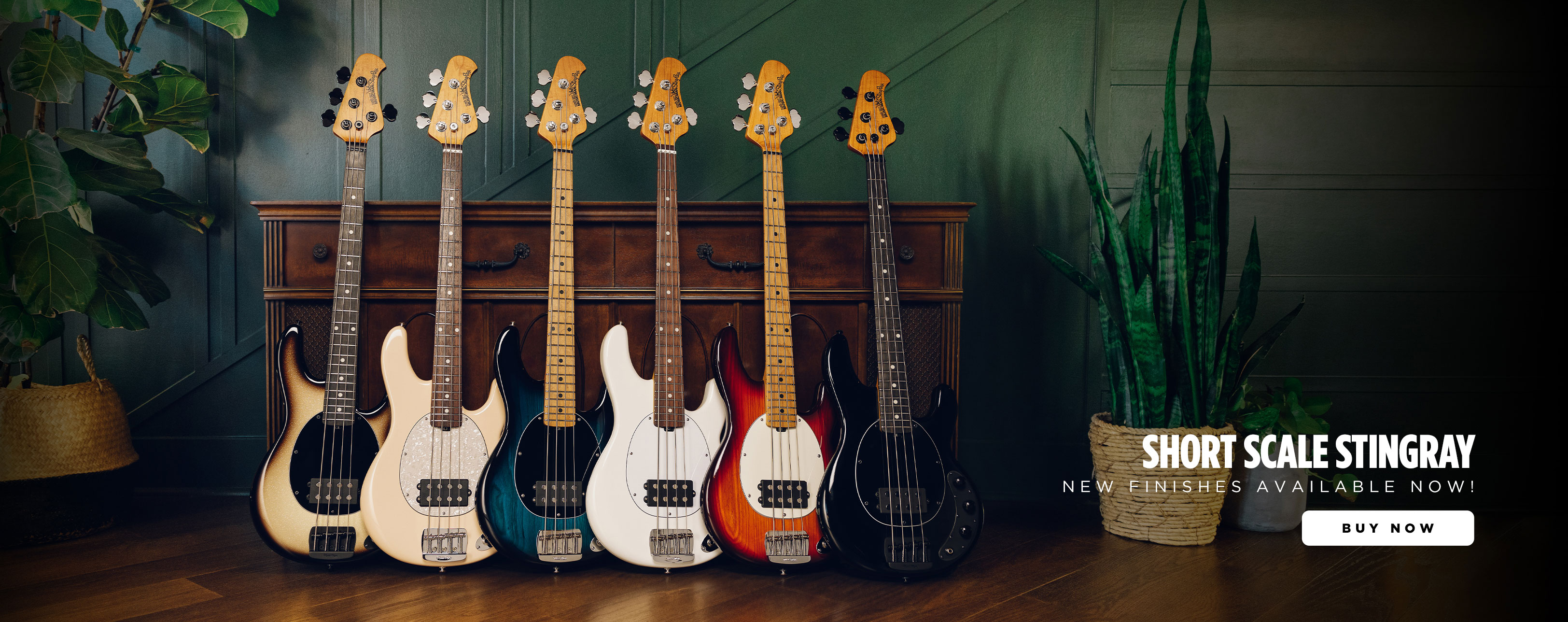 Shop Ernie Ball Music Man Music Man Shop Shop Ernie Ball Music Man Music Man Shop